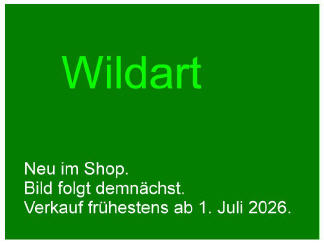 Sisyrinchium palmifolium